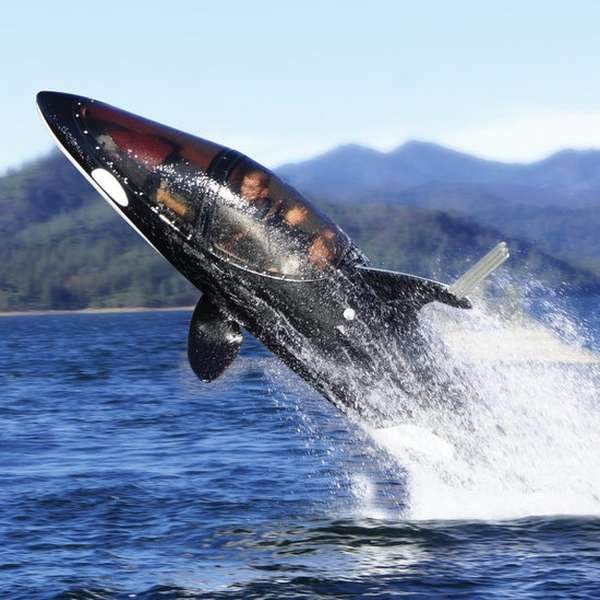The Killer Whale Submarine-birthday-gift-for-men-and-women-gift-feed.com