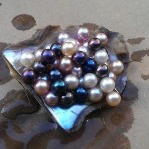 50 Akoya Pearls in Oyster For Treasure Hunt Date-birthday-gift-for-men-and-women-gift-feed.com