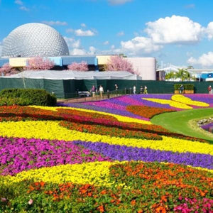 Things To Do In Orlando, Florida-birthday-gift-for-men-and-women-gift-feed.com