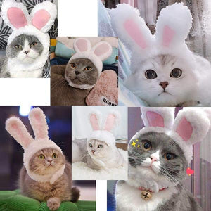 Adjustable Headwear for Kittens-birthday-gift-for-men-and-women-gift-feed.com