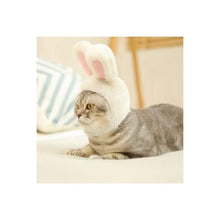 Load image into Gallery viewer, Adjustable Headwear for Kittens-birthday-gift-for-men-and-women-gift-feed.com
