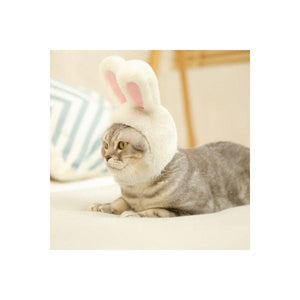 Adjustable Headwear for Kittens-birthday-gift-for-men-and-women-gift-feed.com