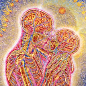 ALEX GREY CoSM Psychedelic Puzzles-birthday-gift-for-men-and-women-gift-feed.com