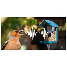 Load image into Gallery viewer, Automatic Smart Bird Feeder For Window-birthday-gift-for-men-and-women-gift-feed.com
