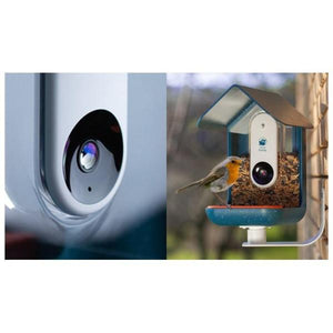 Automatic Smart Bird Feeder For Window-birthday-gift-for-men-and-women-gift-feed.com