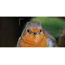 Load image into Gallery viewer, Automatic Smart Bird Feeder For Window-birthday-gift-for-men-and-women-gift-feed.com
