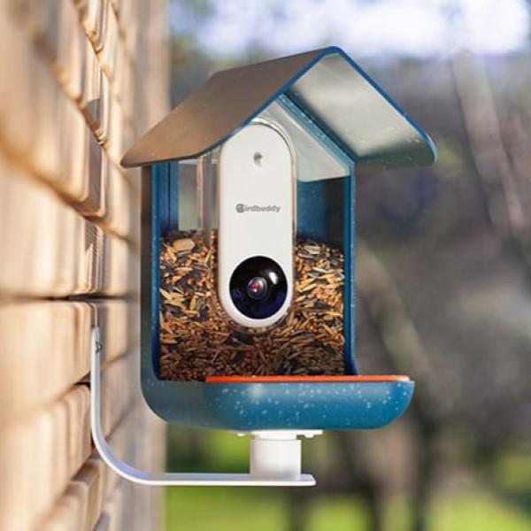 Automatic Smart Bird Feeder For Window-birthday-gift-for-men-and-women-gift-feed.com