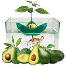 Load image into Gallery viewer, Avocado Growing Kit-birthday-gift-for-men-and-women-gift-feed.com
