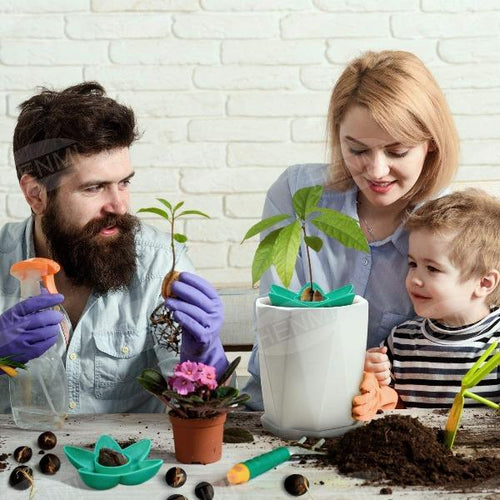 Avocado Growing Kit-birthday-gift-for-men-and-women-gift-feed.com