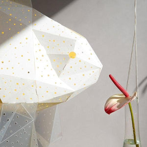 Beautiful Goldfish Origami Light-birthday-gift-for-men-and-women-gift-feed.com