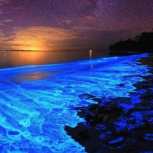 Load image into Gallery viewer, BIOLUMINESCENT Lavender Aromatherapy Bath Bombs-birthday-gift-for-men-and-women-gift-feed.com
