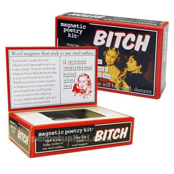 Bitch Kit: Magnetic Words for Refrigerator-birthday-gift-for-men-and-women-gift-feed.com