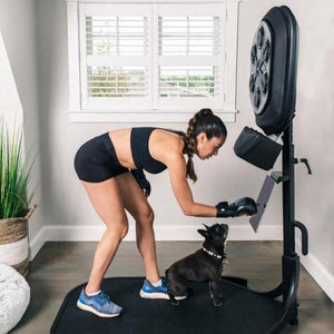Boxing Machine for Home Gym-birthday-gift-for-men-and-women-gift-feed.com