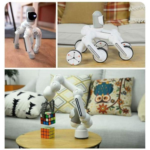 CLICBOT Educational Robot-birthday-gift-for-men-and-women-gift-feed.com