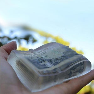 CLOSED GIVEAWAY - MONEY SOAP Real Dollar Bill in Soap-birthday-gift-for-men-and-women-gift-feed.com