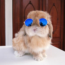 Load image into Gallery viewer, Cool Sunglasses For Your Pet-birthday-gift-for-men-and-women-gift-feed.com
