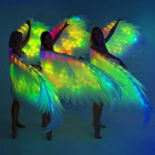 Load image into Gallery viewer, Cosplay Angel Wings Pixel Fairy Wings with 200 LEDs-birthday-gift-for-men-and-women-gift-feed.com
