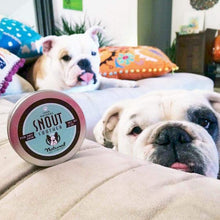 Load image into Gallery viewer, Dry Dog Snout Soother Balm-birthday-gift-for-men-and-women-gift-feed.com
