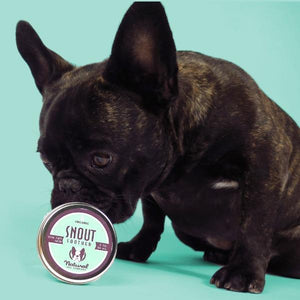 Dry Dog Snout Soother Balm-birthday-gift-for-men-and-women-gift-feed.com