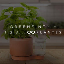 Load image into Gallery viewer, Easy Grow Indoor Plants by GreenFinity-birthday-gift-for-men-and-women-gift-feed.com
