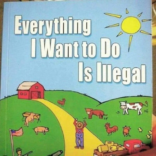 Everything I Want To Do Is Illegal-birthday-gift-for-men-and-women-gift-feed.com