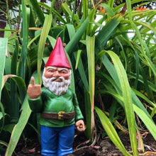 Load image into Gallery viewer, FLIPPY The Evil Garden Gnome-birthday-gift-for-men-and-women-gift-feed.com
