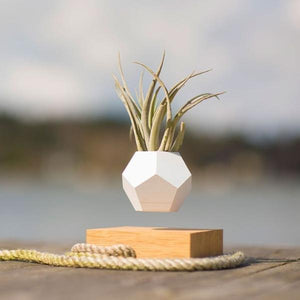 Floating Levitating Plant Pot-birthday-gift-for-men-and-women-gift-feed.com