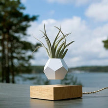 Load image into Gallery viewer, Floating Levitating Plant Pot-birthday-gift-for-men-and-women-gift-feed.com
