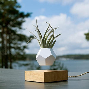 Floating Levitating Plant Pot-birthday-gift-for-men-and-women-gift-feed.com