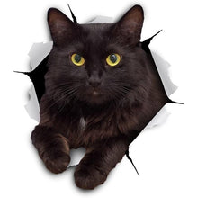 Load image into Gallery viewer, Funny Black Cat Decal for Wall and Car-birthday-gift-for-men-and-women-gift-feed.com
