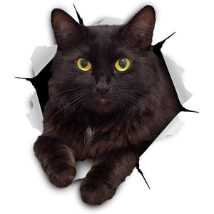 Funny Black Cat Decal for Wall and Car-birthday-gift-for-men-and-women-gift-feed.com
