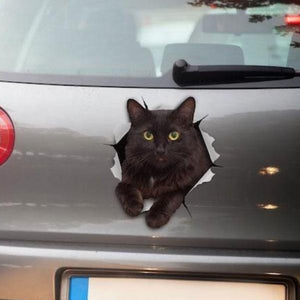 Funny Black Cat Decal for Wall and Car-birthday-gift-for-men-and-women-gift-feed.com