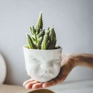 Handmade Funny Faces Plant Pots-birthday-gift-for-men-and-women-gift-feed.com