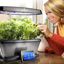 Load image into Gallery viewer, Indoor Hydroponic Herb Garden-birthday-gift-for-men-and-women-gift-feed.com
