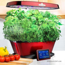 Load image into Gallery viewer, Indoor Hydroponic Herb Garden-birthday-gift-for-men-and-women-gift-feed.com
