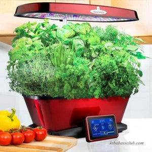 Indoor Hydroponic Herb Garden-birthday-gift-for-men-and-women-gift-feed.com