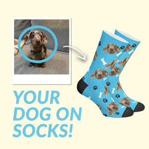 LOVIMALS Your Dog On Socks-birthday-gift-for-men-and-women-gift-feed.com