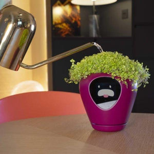 LUA Smart Planter with Feelings-birthday-gift-for-men-and-women-gift-feed.com