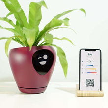 Load image into Gallery viewer, LUA Smart Planter with Feelings-birthday-gift-for-men-and-women-gift-feed.com
