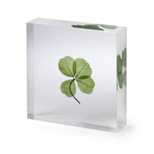 Load image into Gallery viewer, Lucky Clover Paper Weight-birthday-gift-for-men-and-women-gift-feed.com
