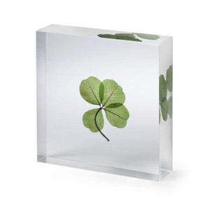 Lucky Clover Paper Weight-birthday-gift-for-men-and-women-gift-feed.com