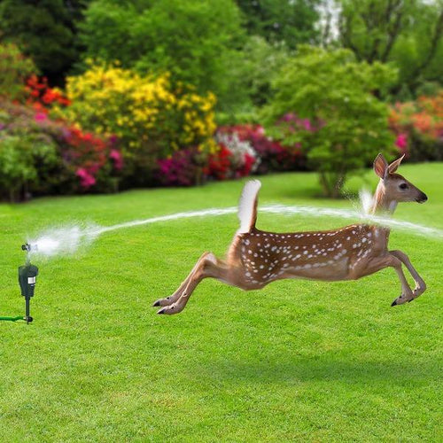 Motion Activated Sprinkler Animal Rodent Repellent-birthday-gift-for-men-and-women-gift-feed.com