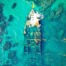 Load image into Gallery viewer, Mysterious Dive Trip to Bermuda Caribbean-birthday-gift-for-men-and-women-gift-feed.com
