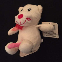 Load image into Gallery viewer, Naughty Valentines Day Plush Bears with Penis-birthday-gift-for-men-and-women-gift-feed.com
