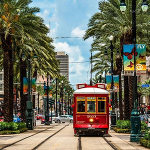 NEW ORLEANS The Biggest Party Town In USA-birthday-gift-for-men-and-women-gift-feed.com