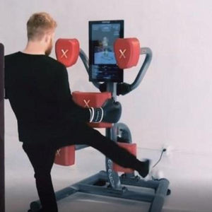 Nexersys Commercial Smart Boxing Machine-birthday-gift-for-men-and-women-gift-feed.com