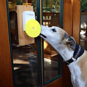 Pebble Smart Doggie Doorbell-birthday-gift-for-men-and-women-gift-feed.com