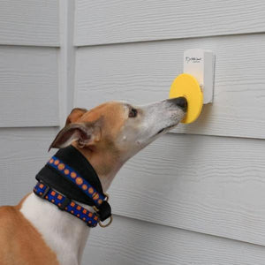 Pebble Smart Doggie Doorbell-birthday-gift-for-men-and-women-gift-feed.com