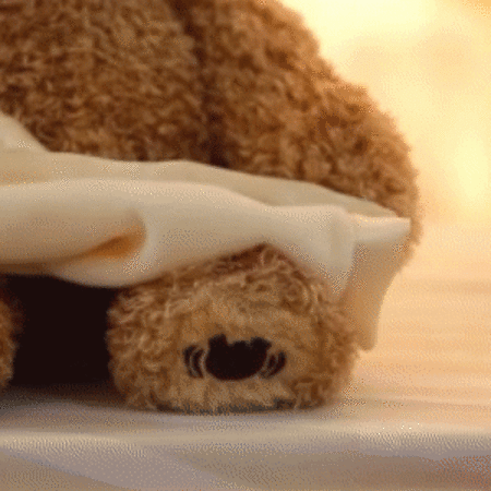 Peek-A-Boo Plush Teddy Bear Animated Stuffed Animal