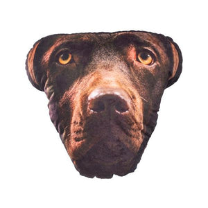 Personalized Creations Pet Face Cushion-birthday-gift-for-men-and-women-gift-feed.com